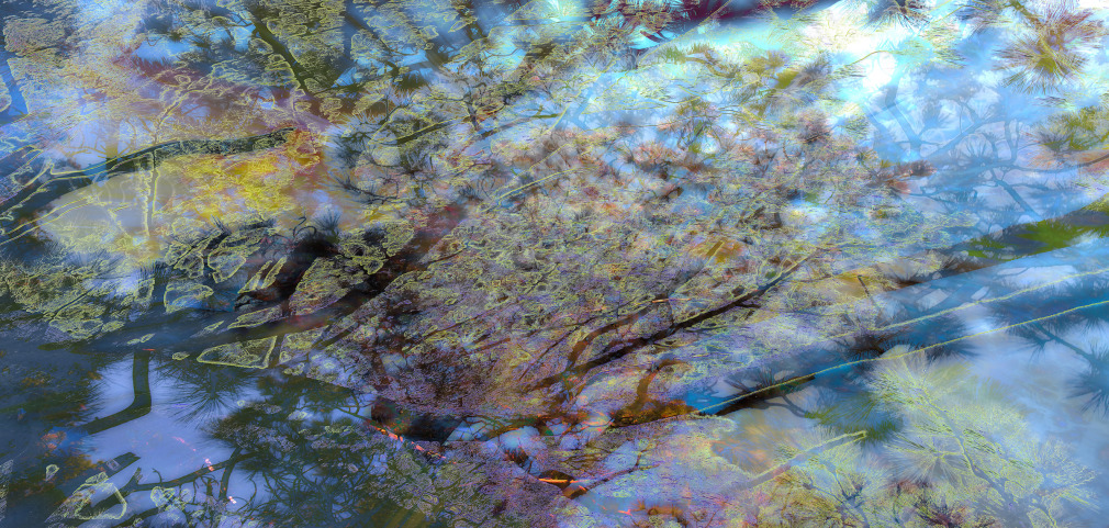 05__PAXTON_Big-Bear-4183_40x84_sW