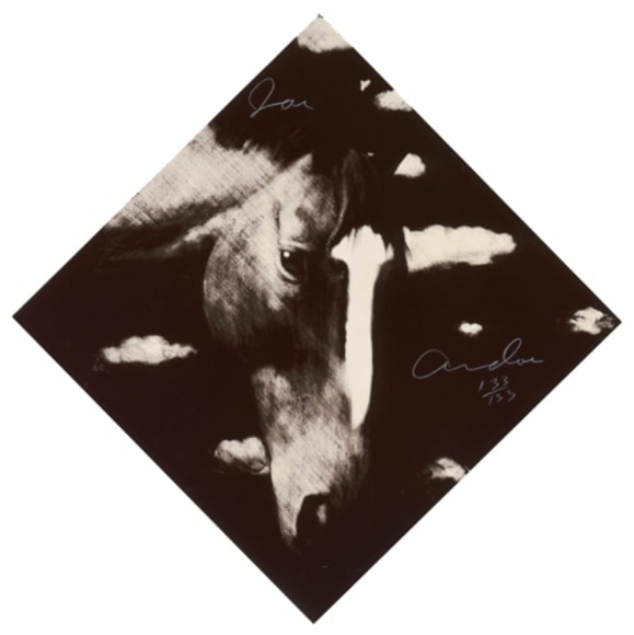 ANDOE-Joe_Two Horses, 2_12-color silkscreen_43 inches point-to-point