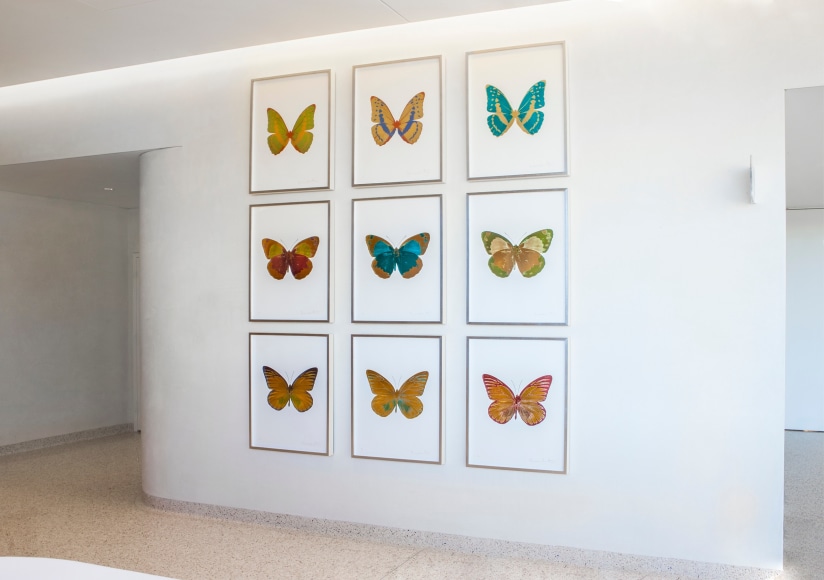 HIRST-Damian_Souls_RT2_13x10_200dpi