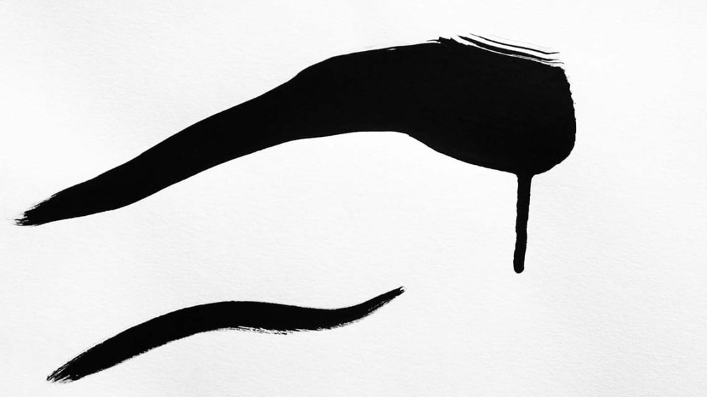 Anne Deleporte  Zebra Drawing 3, 2013  c-print on Hahnemuhle photo rag paper  paper: 17 3/4 x 31 5/8 inches  frame: 23 1/8 x 37 1/8 inches  Edition of 3  $6,500