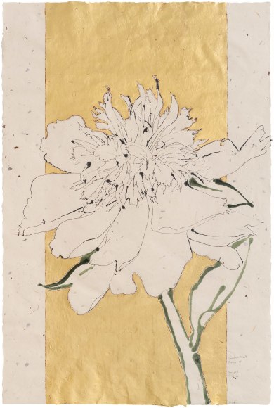 Robert Kushner Green's Treat Peony IV, 2024 oil, acrylic, ink and gold leaf on Japanese Paper 37 x 25 inches