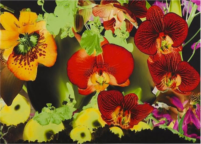 Marc Quinn  Untitled 03: At the Far Edges of the Universe, 2010  pigment print  27 1/2 x 41 inches  Edition 12 of 59  $4,400