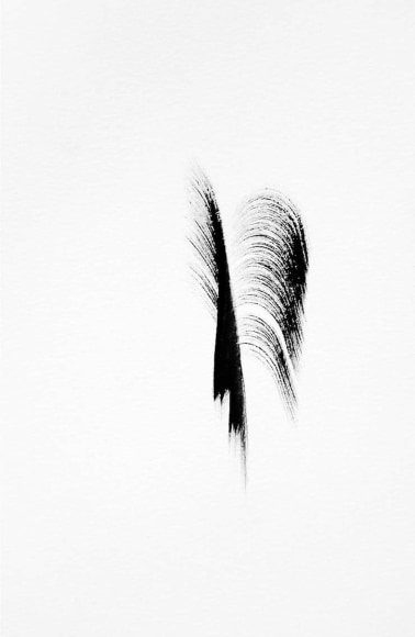 Anne Deleporte  Zebra Drawing 7, 2013  c-print on Hahnemuhle photo rag paper  paper: 31 3/4 x 20 3/4 inches  frame: 37 1/8 x 26 inches  Edition of 3  $6,500