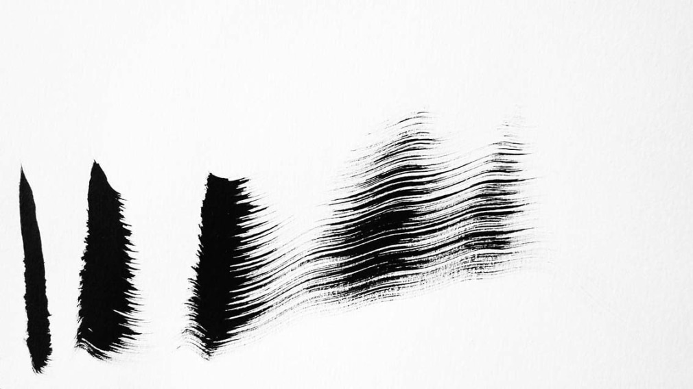 Anne Deleporte  Zebra Drawing 4, 2013  c-print on Hahnemuhle photo rag paper  paper: 17 3/4 x 31 3/4 inches  frame: 23 1/8 x 37 1/8 inches  Edition of 3  $6,500