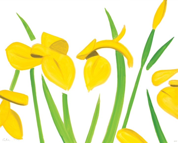 Alex Katz Yellow Flags on White, 2023 archival pigment inks on 315 gsm fine art paper 24 x 30 inches Edition 25 of 100