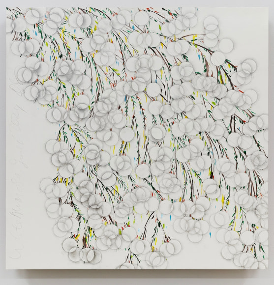 Donald Sultan White Mimosa June 6 2024, 2024 enamel and graphite on masonite 36 x 36 inches