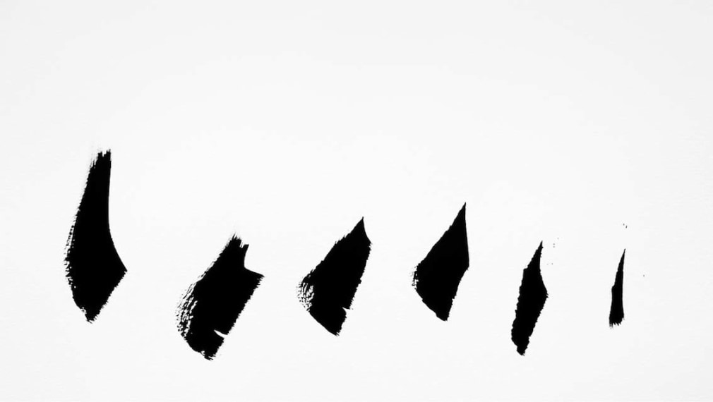 Anne Deleporte  Zebra Drawing 6, 2013  c-print on Hahnemuhle photo rag paper  paper: 17 7/8 x 31 1/8 inches  frame: 23 1/8 x 37 1/8 inches  Edition of 3  $6,500