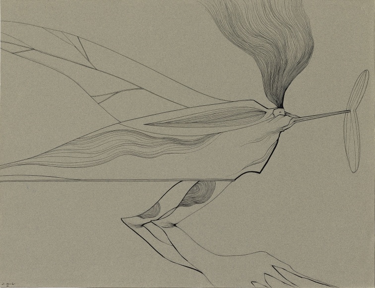 Dorothy Hood Untitled (38), n.d. ink on paper 19 3/4 x 25 3/4 inches
