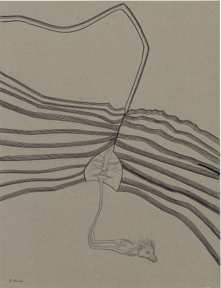 Dorothy Hood Untitled (earth strata), n.d. ink on paper 25 1/5 x 19 5/8 inches