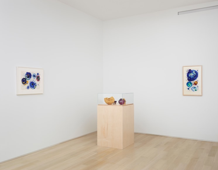 Chamberlain/Francis Exhibitions Van Doren Waxter