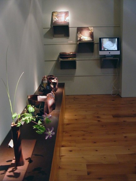 Nakamura Takuo: Revisiting Rimpa exhibition. Click on the image for more photos.