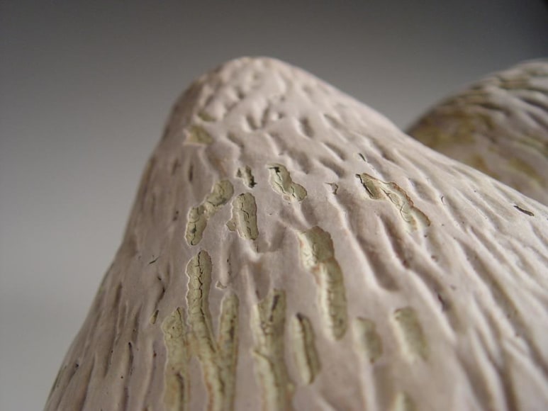 Nakaigawa Yuki (b. 1960)