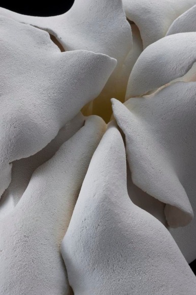 A Moment in White - D, ca. 2012