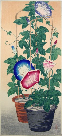 Takahashi Shōtei (Hiroaki), Morning glories