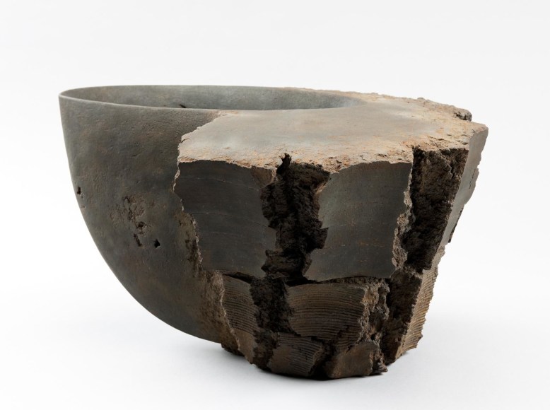 Untitled MV-1018, 2010