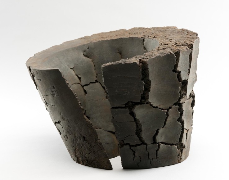 Untitled MV-1014, 2010