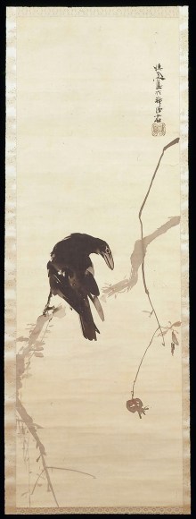 Crow perched on a pomegranate tree