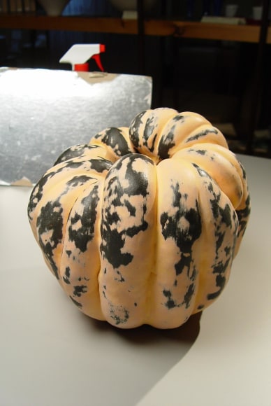 KATSUMATA Chieko (b. 1950)