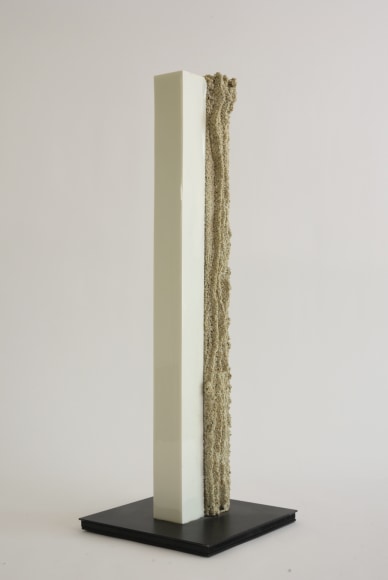 Association with White, 2008