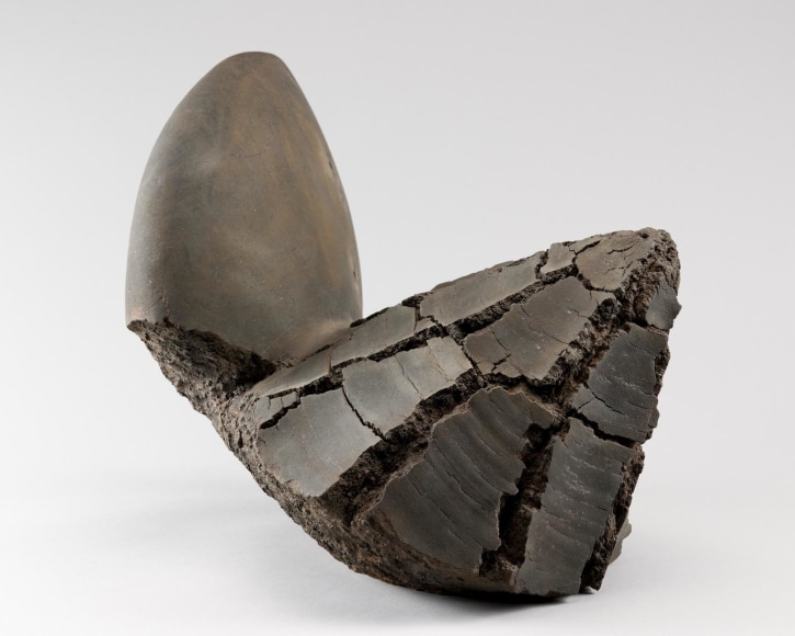 Untitled MV-1016, 2010