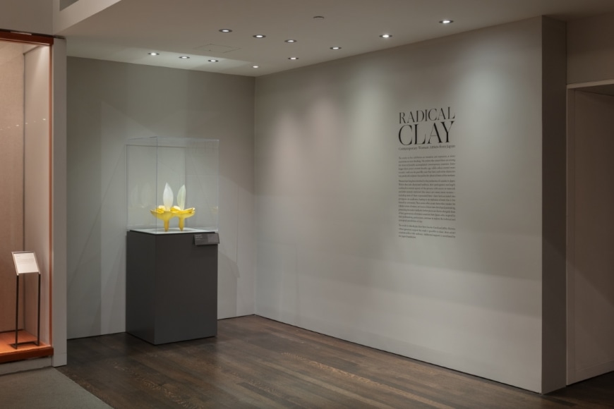 Radical Clay exhibition at Art Institute of Chicago featured in Ceramics NOW