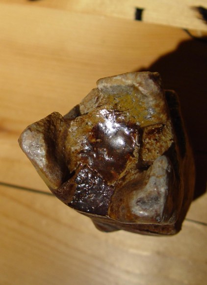 KAKUREZAKI Ry&ucirc;ichi (b. 1950)