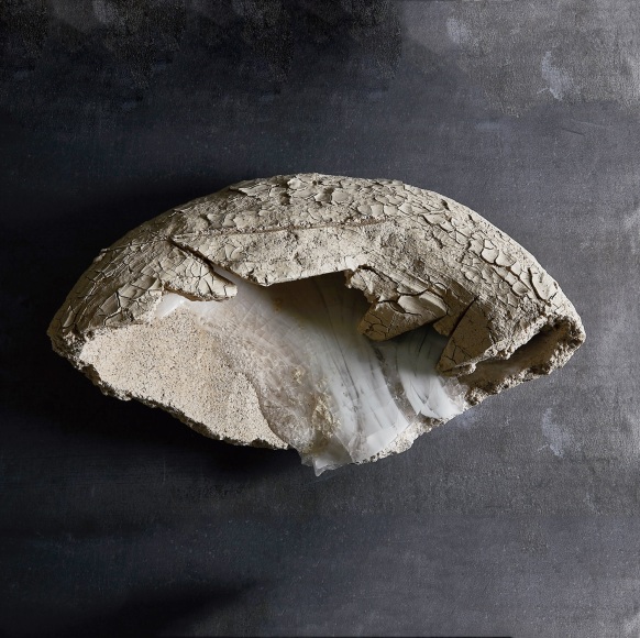 Ogawa Machiko (b. 1946), Crystals and Memories