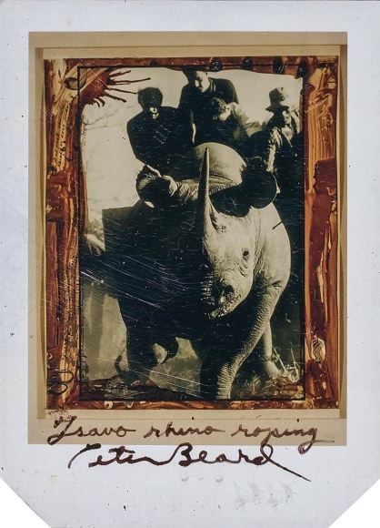 Peter Beard (1938-2020) - Artists - Dean Borghi Fine Art Peter Beard (1938-2020) - Artists - Dean Borghi Fine Art