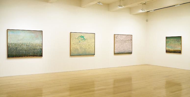 Jane Wilson:  New Paintings