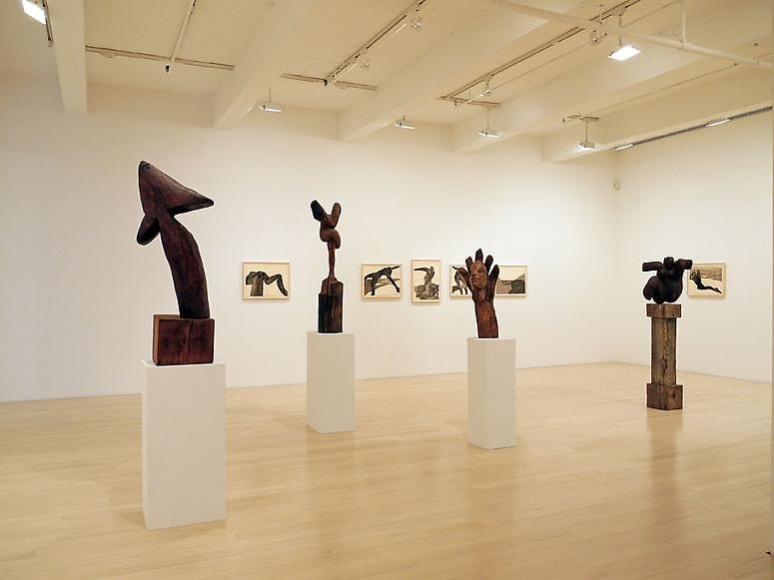 Mary Frank : Transformations