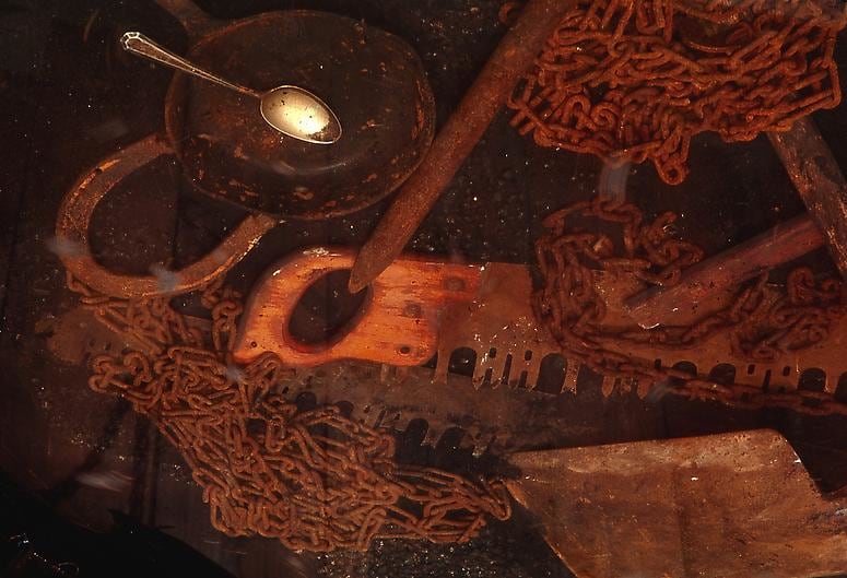 SANCTUARY: The Great Dismal Swamp, 2002, Dimensions variable