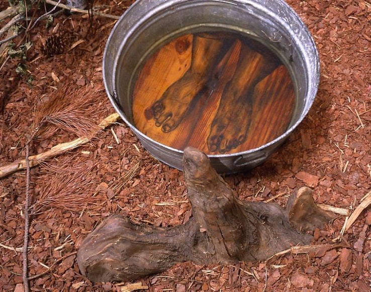 SANCTUARY: The Great Dismal Swamp, 2002, Dimensions variable