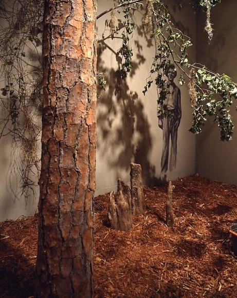 SANCTUARY: The Great Dismal Swamp, 2002, Dimensions variable