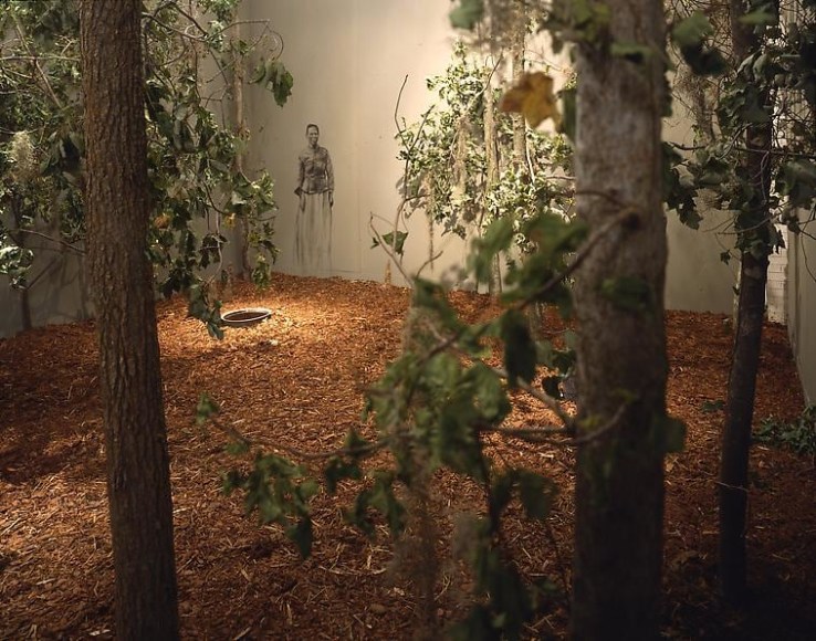 SANCTUARY: The Great Dismal Swamp, 2002, Dimensions variable