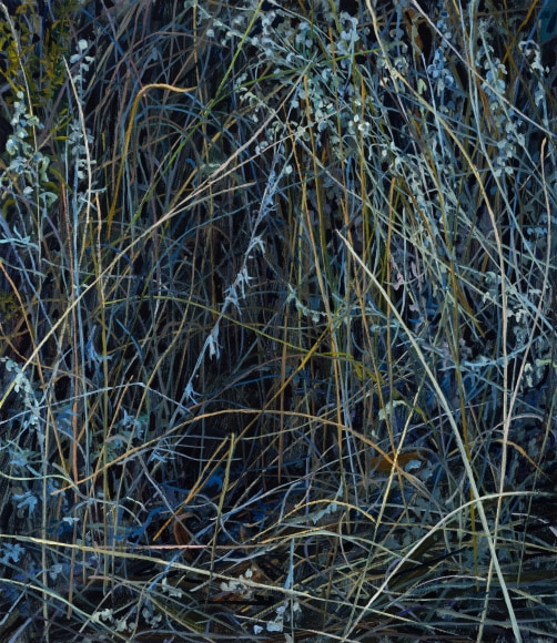 Wildflowers, 2025 Oil on canvas 30 x 26 inches