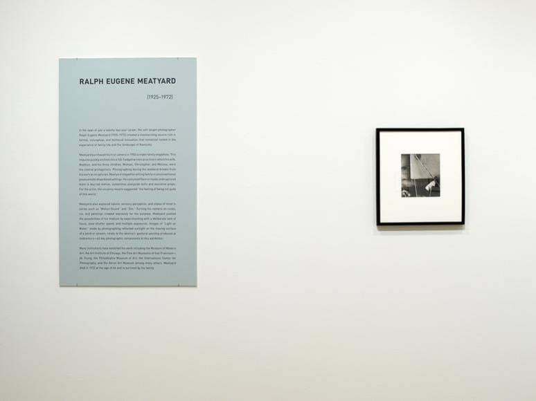 ラルフ・ユージン・ミートヤード / An American Visionary ラルフ・ユージン・ミートヤード: RALPH EUGENE MEATYARD