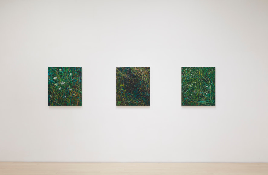 Claire Sherman: Intuor - - Exhibitions - Dc Moore Gallery