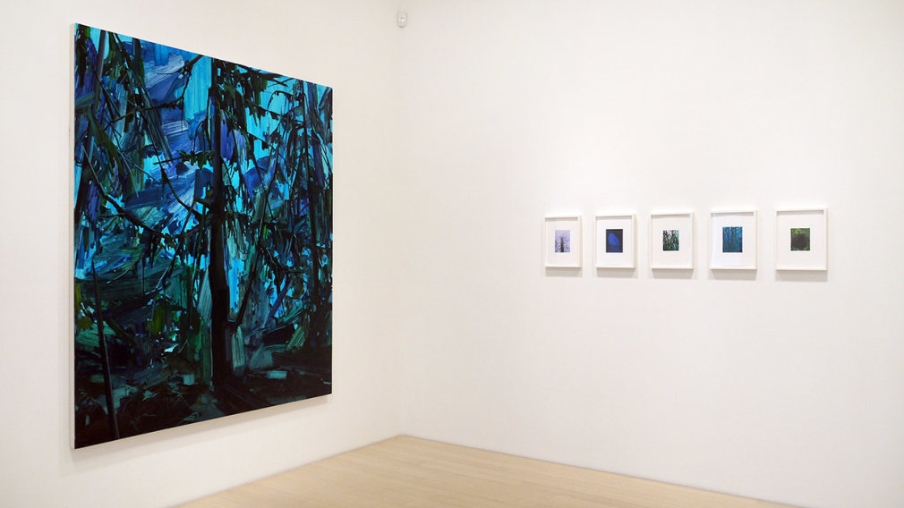 Claire Sherman: West Ridge