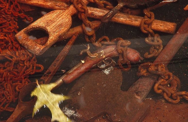 SANCTUARY: The Great Dismal Swamp, 2002, Dimensions variable