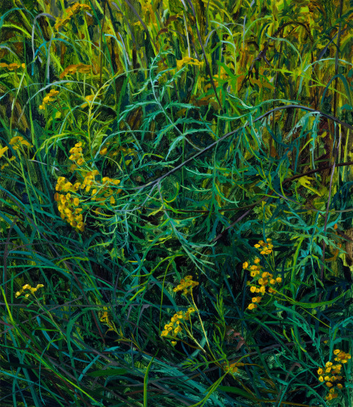 Wildflowers, 2025 Oil on canvas 30 x 26 inches
