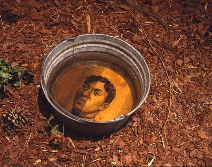 SANCTUARY: The Great Dismal Swamp, 2002, Dimensions variable