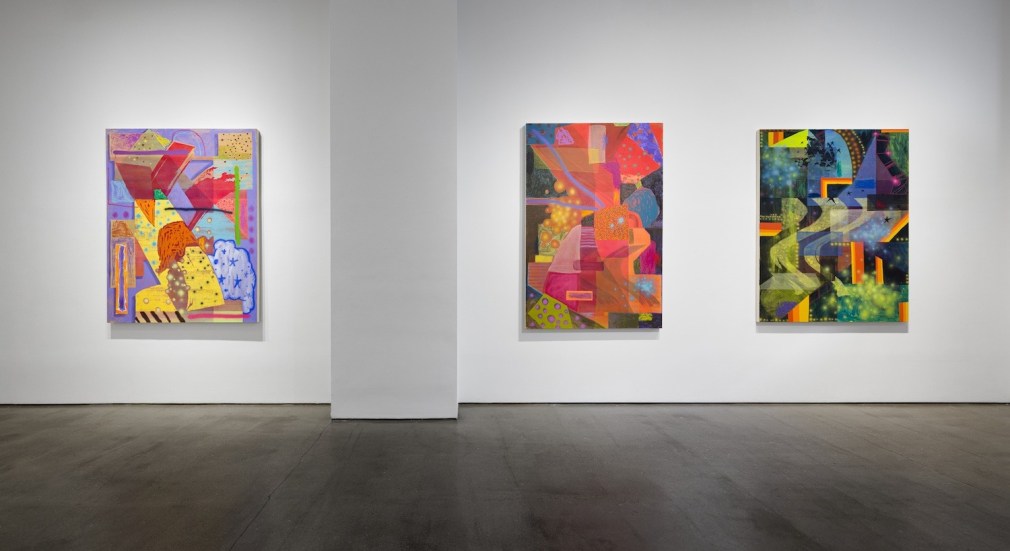 Installation view of Shane Walsh &quot;Psychoalphadiscobeta&quot;