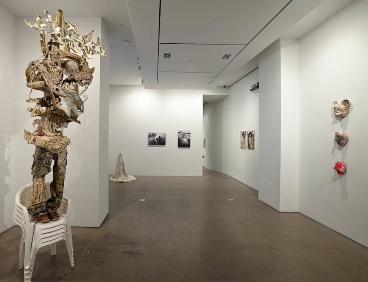 Installation view of "Salvajes"