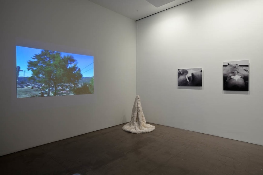 Installation view of "Salvajes"