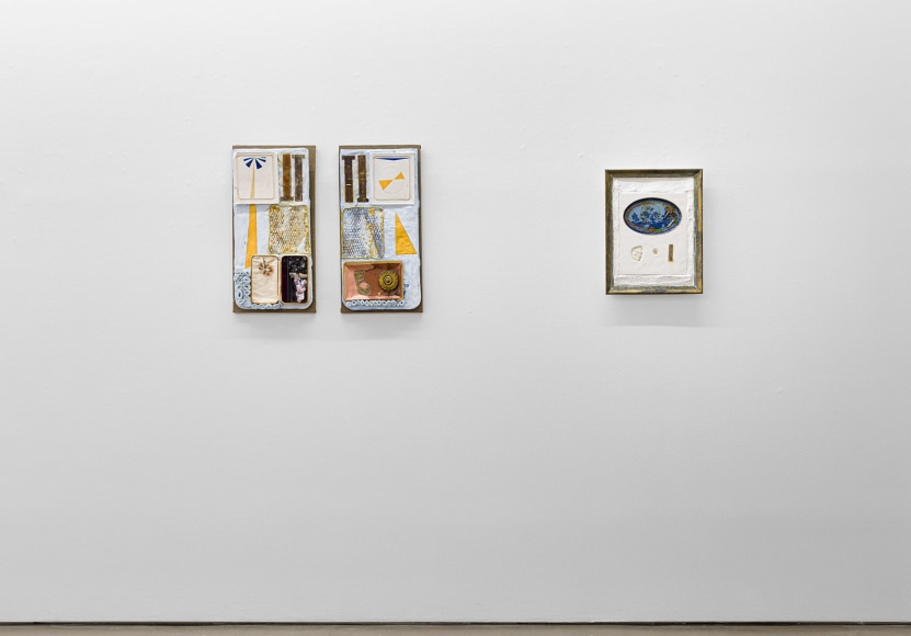 Installation view of Julie Schenkelberg, &quot;From the Ashes&quot;