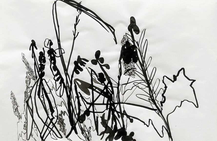 ink on paper drawing