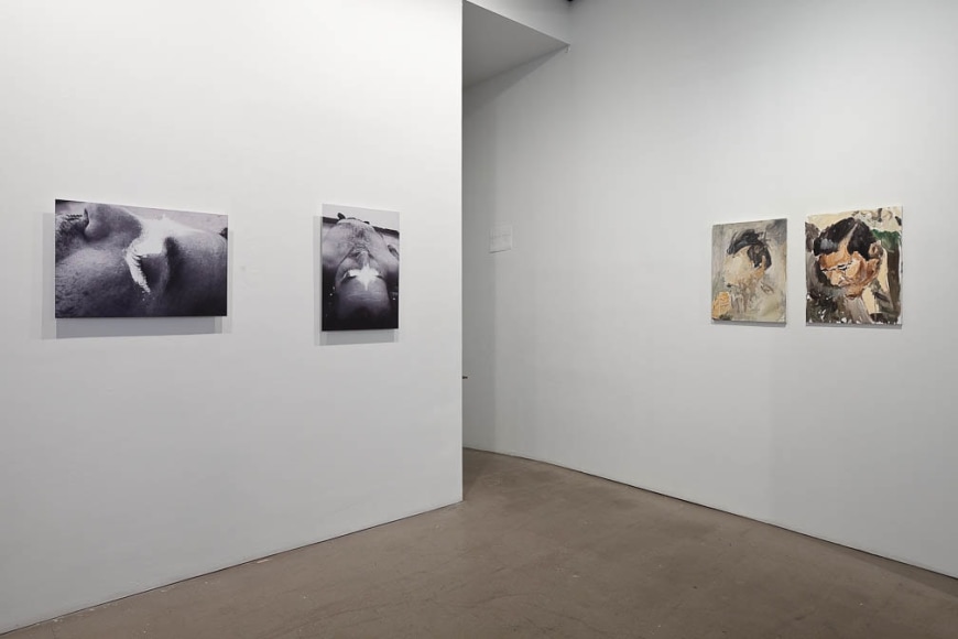 Installation view of "Salvajes"