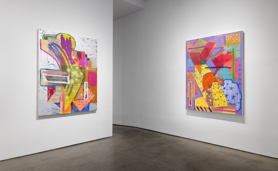 Installation view of Shane Walsh &quot;Psychoalphadiscobeta&quot;