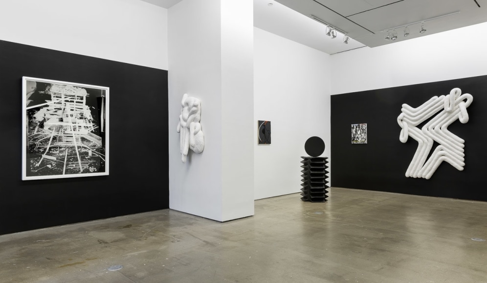 Installation image of Monochromatic, featuring Lauren Clay, Ricardo Gonzalez, Anna Mikhailovskaia, Rachel Stern, Tracy Thomason, Rodrigo Valenzuela