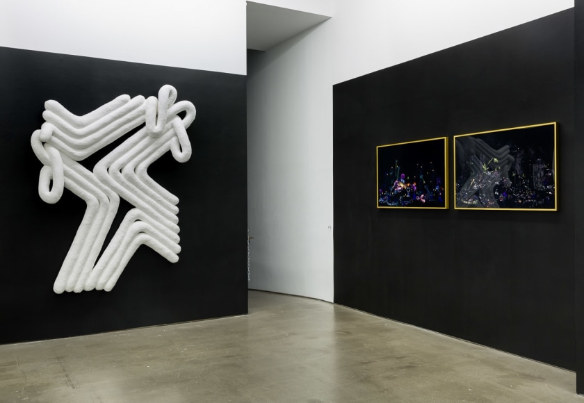 Installation image of Monochromatic, featuring work by Lauren Clay, Ricardo Gonzalez, Anna Mikhailovskaia, Rachel Stern, Tracy Thomason, Rodrigo Valenzuela